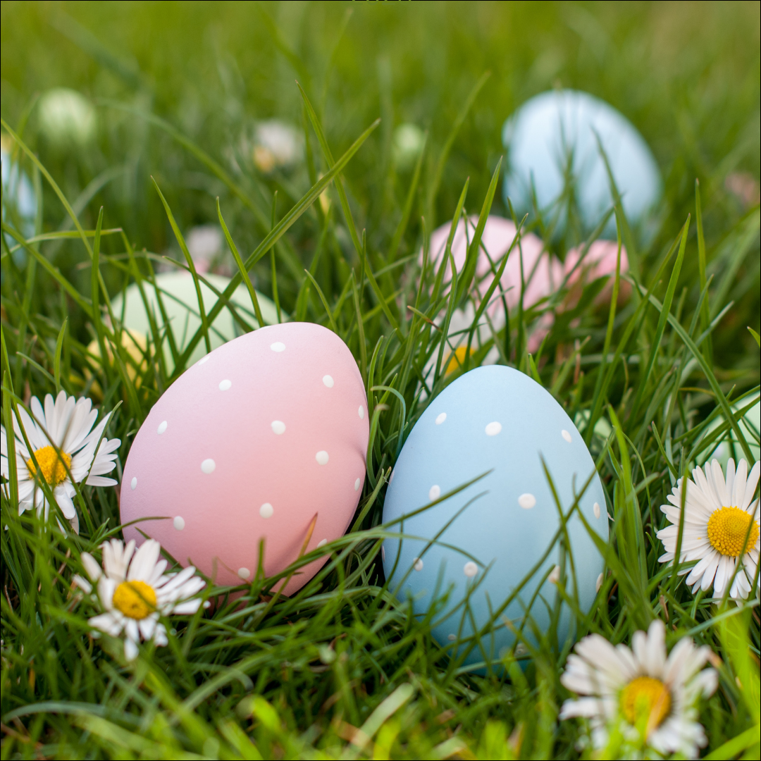 News Teatro dell'Argine